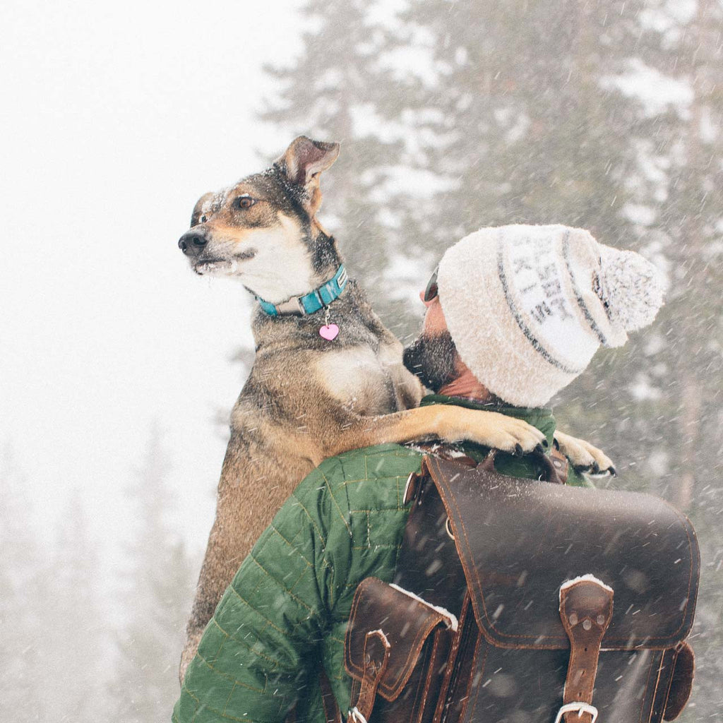 Tank Backpack in Dark Coffee Brown, worn by a man hugging his dog in the falling snow