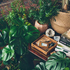 The Leather Grandfather Valet Tray in Tobacco holding a notebook and wallet among houseplants, a geode and books