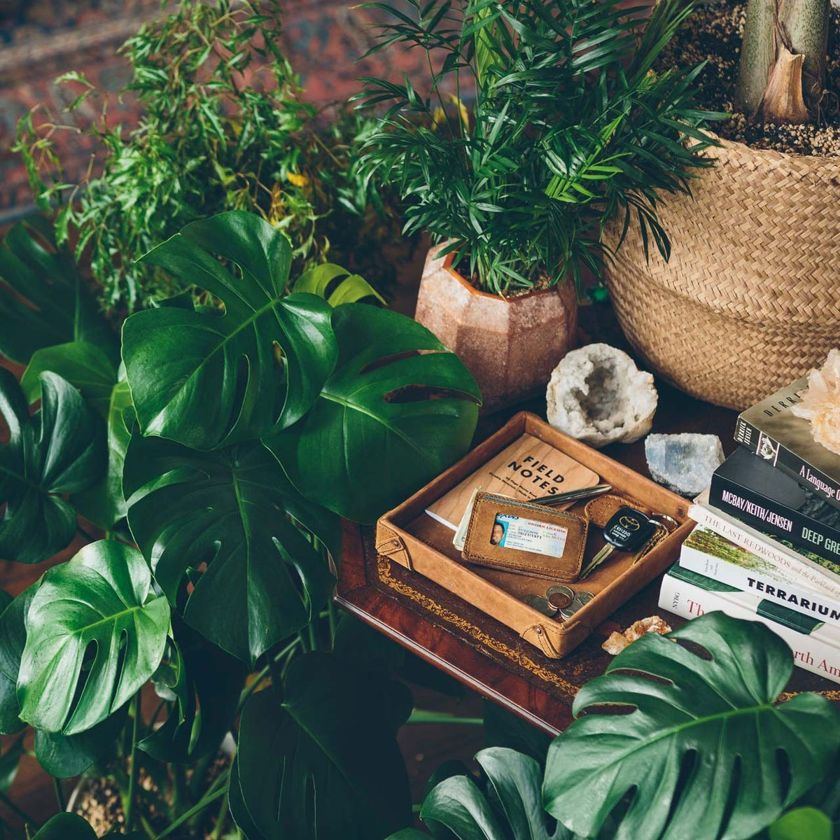 The Leather Grandfather Valet Tray in Tobacco holding a notebook and wallet among houseplants, a geode and books