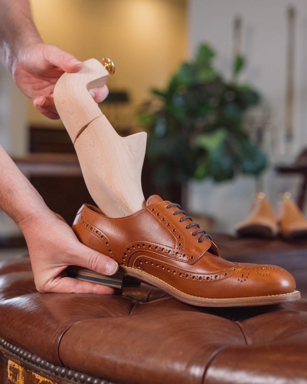 Shoe Tree being fitted into a tan leather wingtip shoe on a leather ottoman