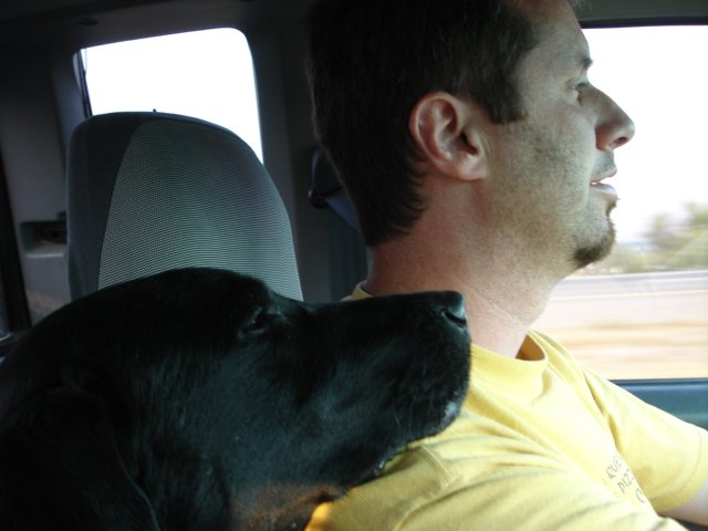 A man driving a car with Blue beside him, the dog's head resting on his shoulder and eyes half closed.