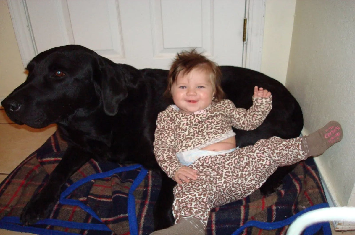 Blue lying on a plaid dog bed with a smiling baby in leopard-print pyjamas sitting up against him.