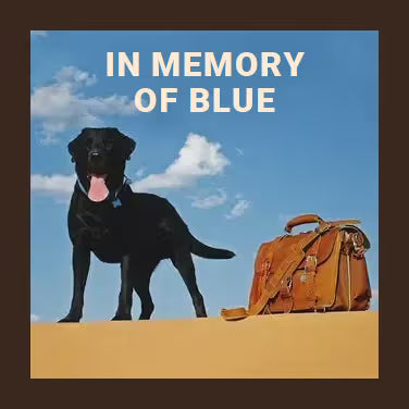 In Memory of Blue: a black Labrador beside a tan leather briefcase on sand under a blue sky