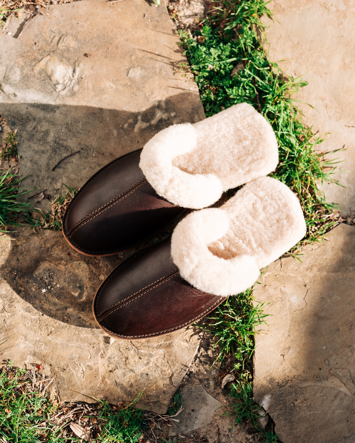 Sheepskin Slippers - Men - New Design in Dark Coffee Brown, a pair on sunlit stepping stones with grass between