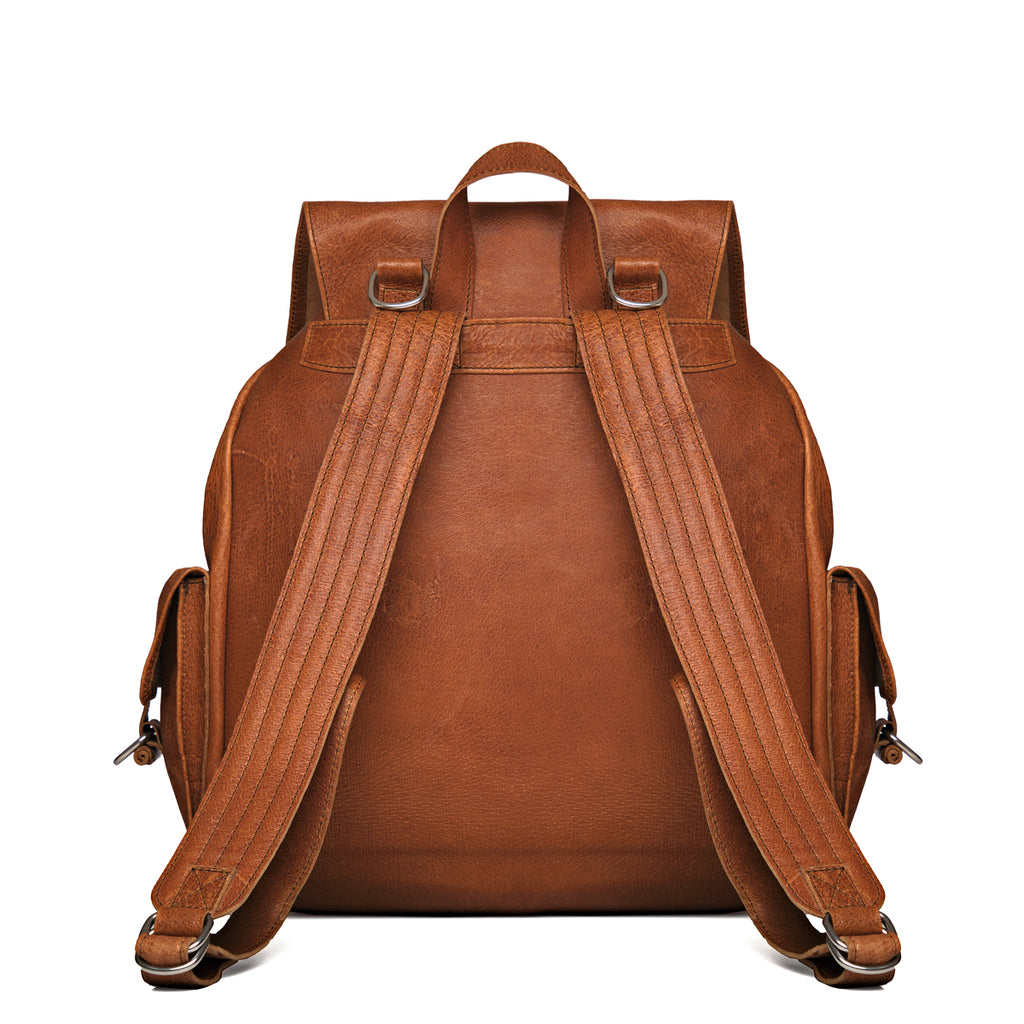 Large Travel Backpack in Bacon, back view with padded shoulder straps and top handle
