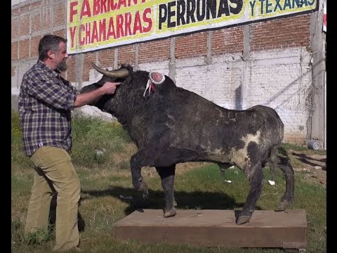 How to make a leather duffle bag like a cow. With as few holes as possible