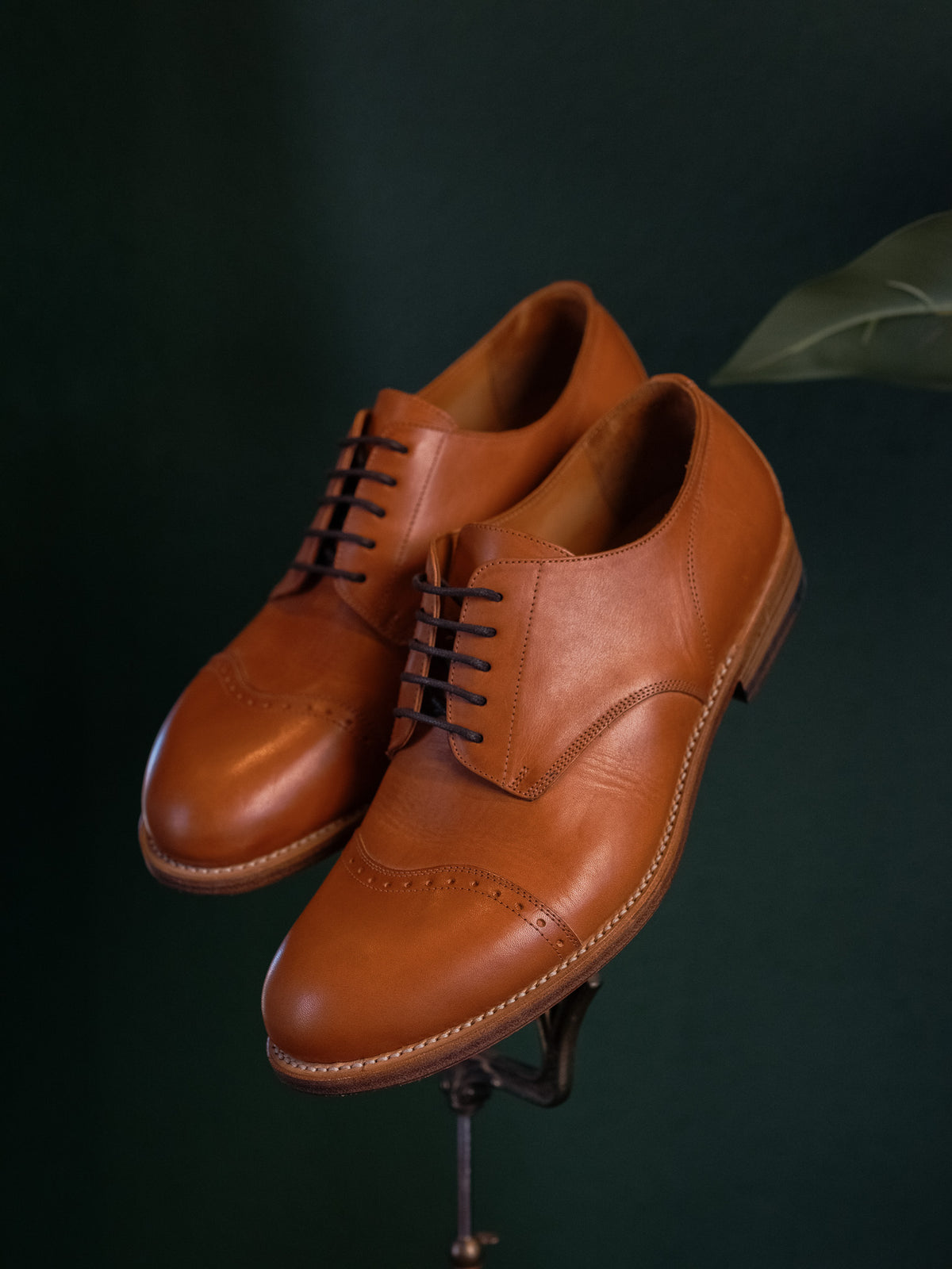 Toe Cap Shoes in English Tan, pair displayed on a stand against a dark green background