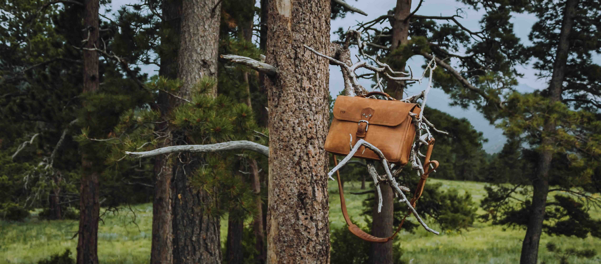 A tan leather messenger bag with a brown leather strap and buckle closure hangs from a tree branch in a forest setting.