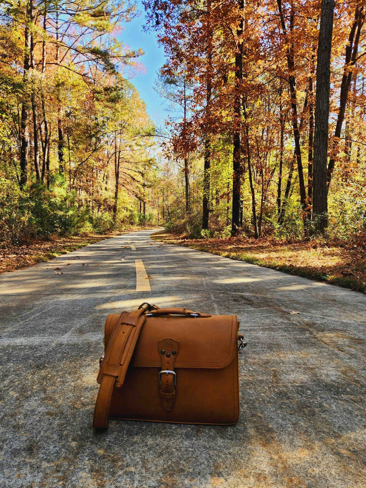 Saddleback Leather Fourteener thin briefcase in brown on a road lined with autumn trees